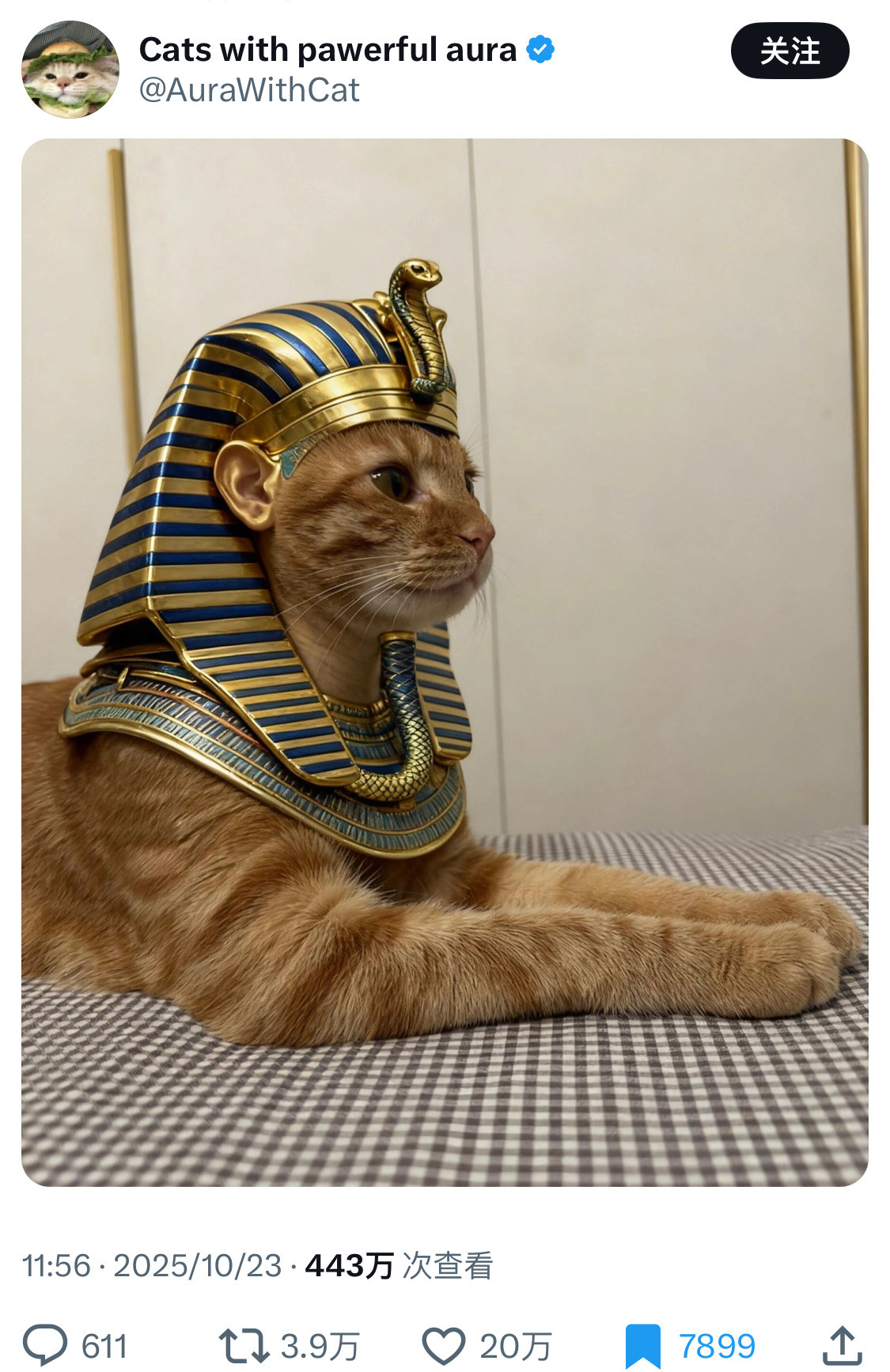 猫神​​​