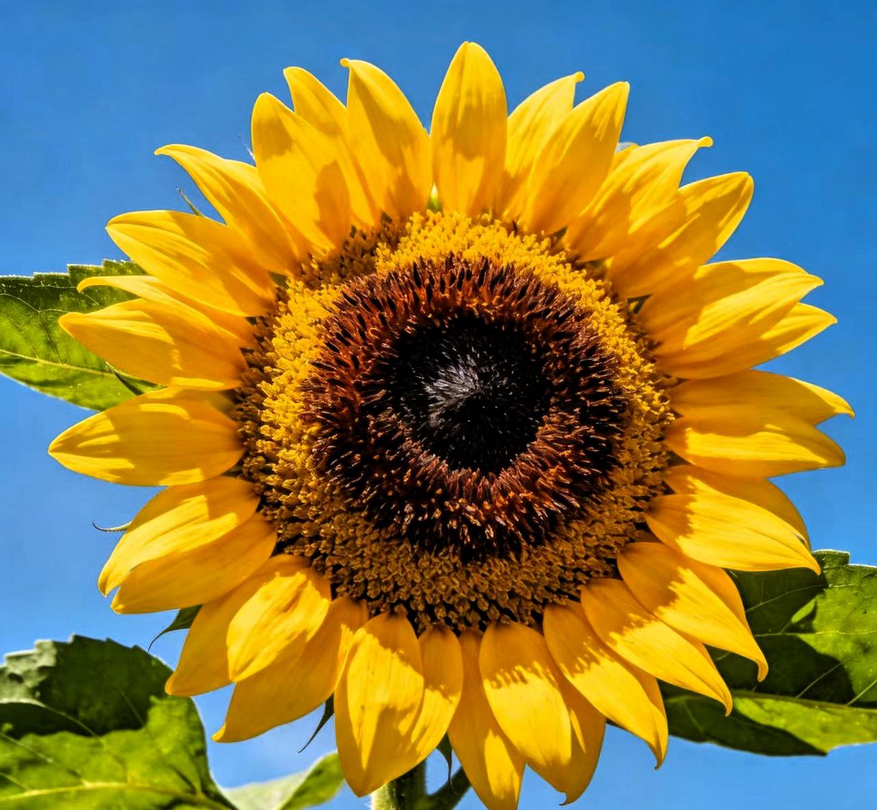 奉劝大家，以后借钱给任何人，不管是亲兄弟姐妹，亲戚朋友也罢，先把心态摆好再