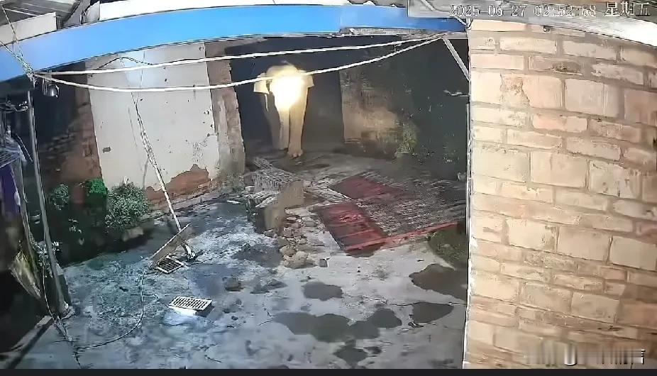 大象可真记仇，你拿手电筒射我，好嘛，我去叫我的小伙伴来！这一幕，发生在云南老乡