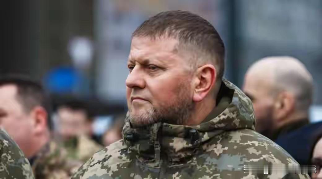 北溪案真相大白！德国亮铁证：扎卢日内抗命炸管道，泽连斯基躺赢？轰动全球的北