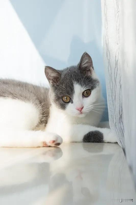 养生不用记太多记住七个字就够了1.睡不熬夜，不赖床晚上11点前躺下