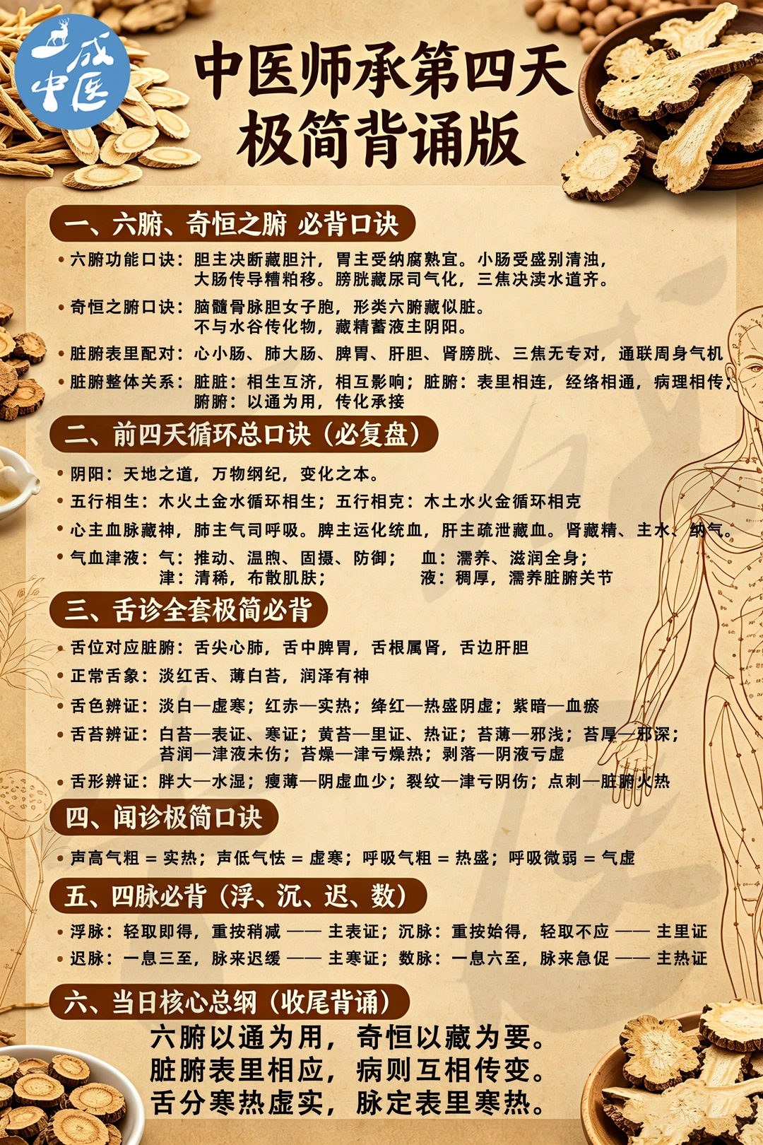 中医师承全职第四天学习内容总结
