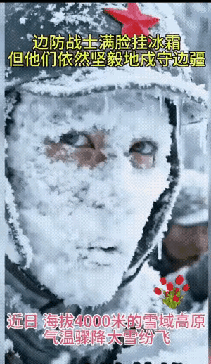 如果不是眼睛还在动，真的会误以为这是立在雪地里的雪人！40