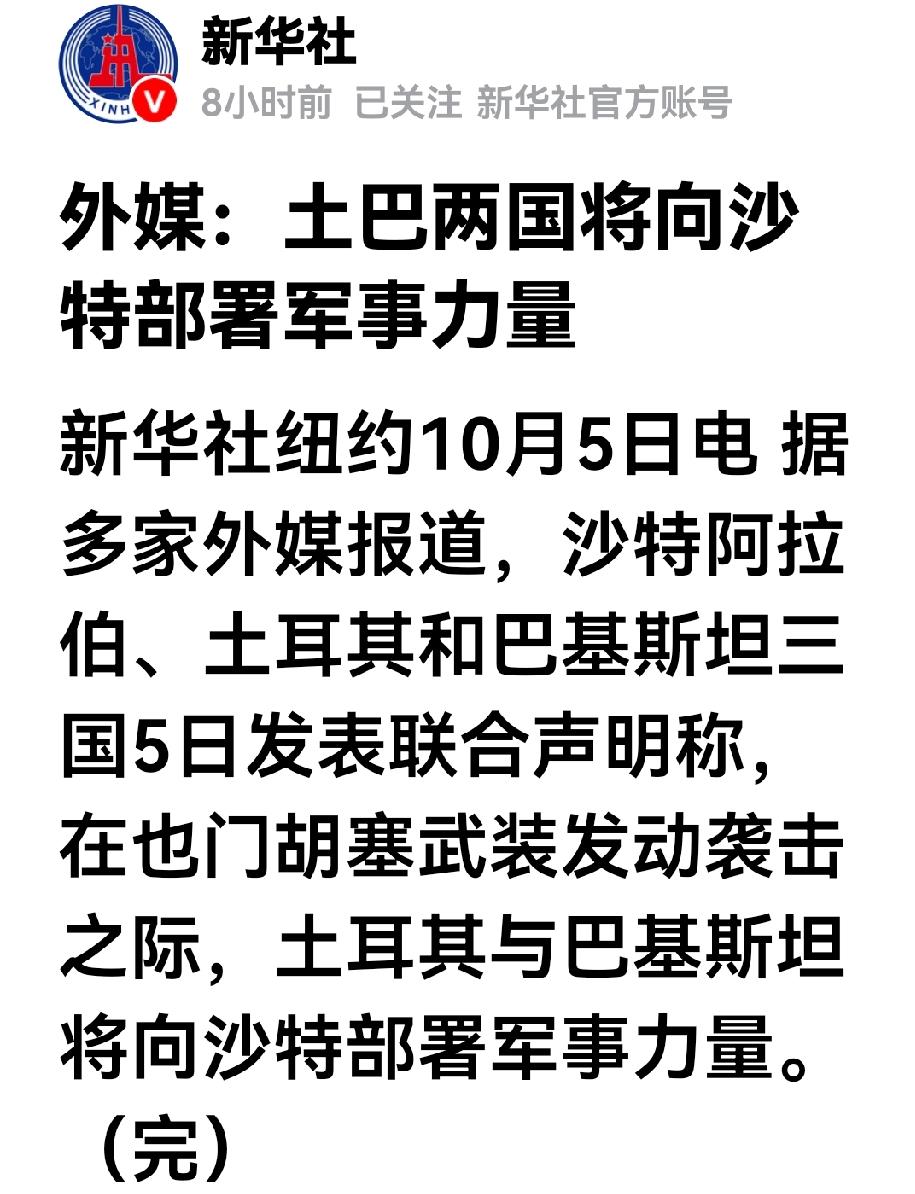 巴基斯坦犯了大忌，他出兵中东为沙特提供军事援助、难道就不怕别人抄了他的后路？巴