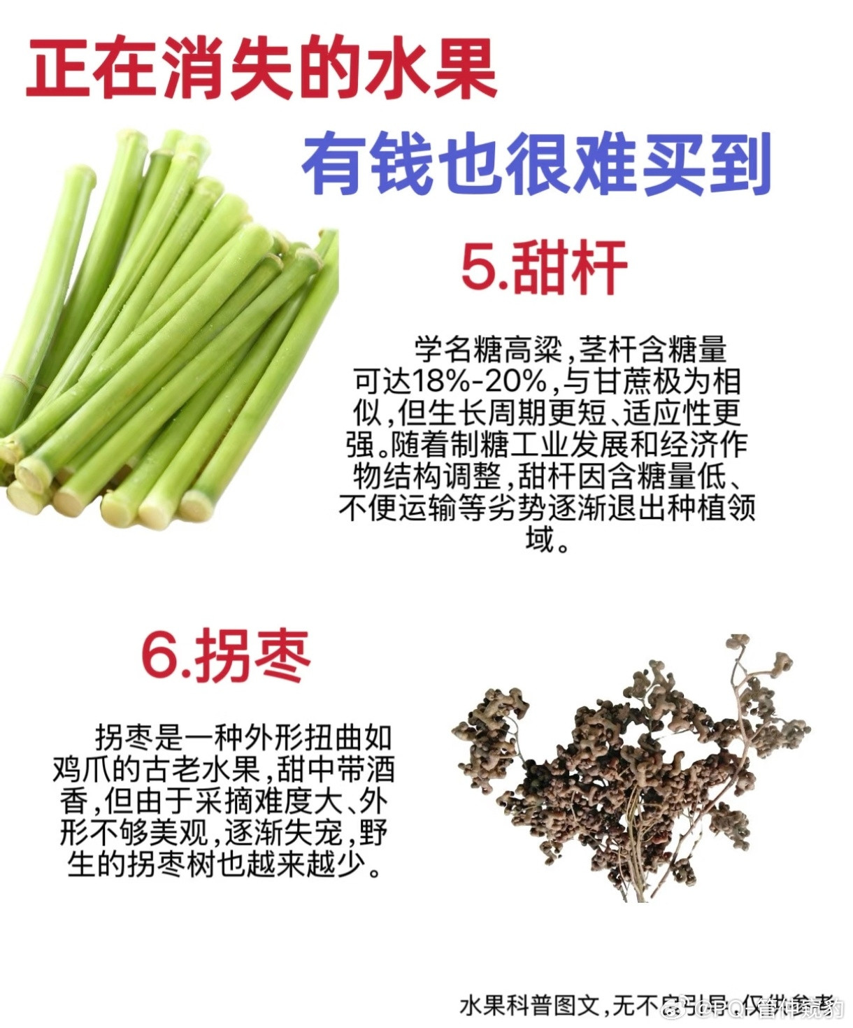 被时代淘汰的水果满满的都是儿时回忆