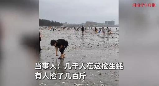 “简直是赚翻了！”7月21日，广东，台风过后，一海滩出现大量的生蚝，满地都是，一