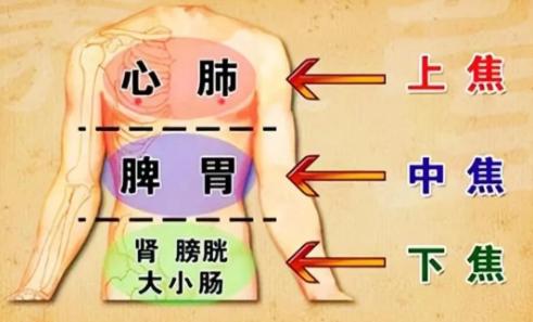 一身胀痛是三焦不通，一堆烦恼是气机不顺。教你一招疏通三焦，不花冤枉钱你是否总