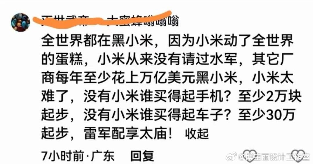 “全世界都在黑小米，因为小米动了全世界的蛋糕，小米从来没有请过水军，其它厂商每年至少花上万亿美元黑小
