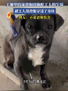 人在做，天在看。看了网友2月26日发布的这段视频气得我浑身发抖，事情发生在哈尔