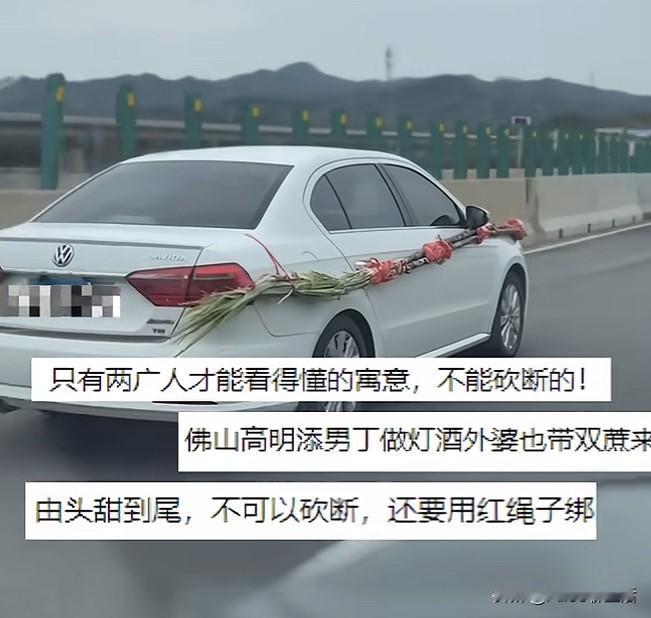 广东人过年扛甘蔗真不是为了吃！有没有发现在广东过年看见满大街的“扛蔗大