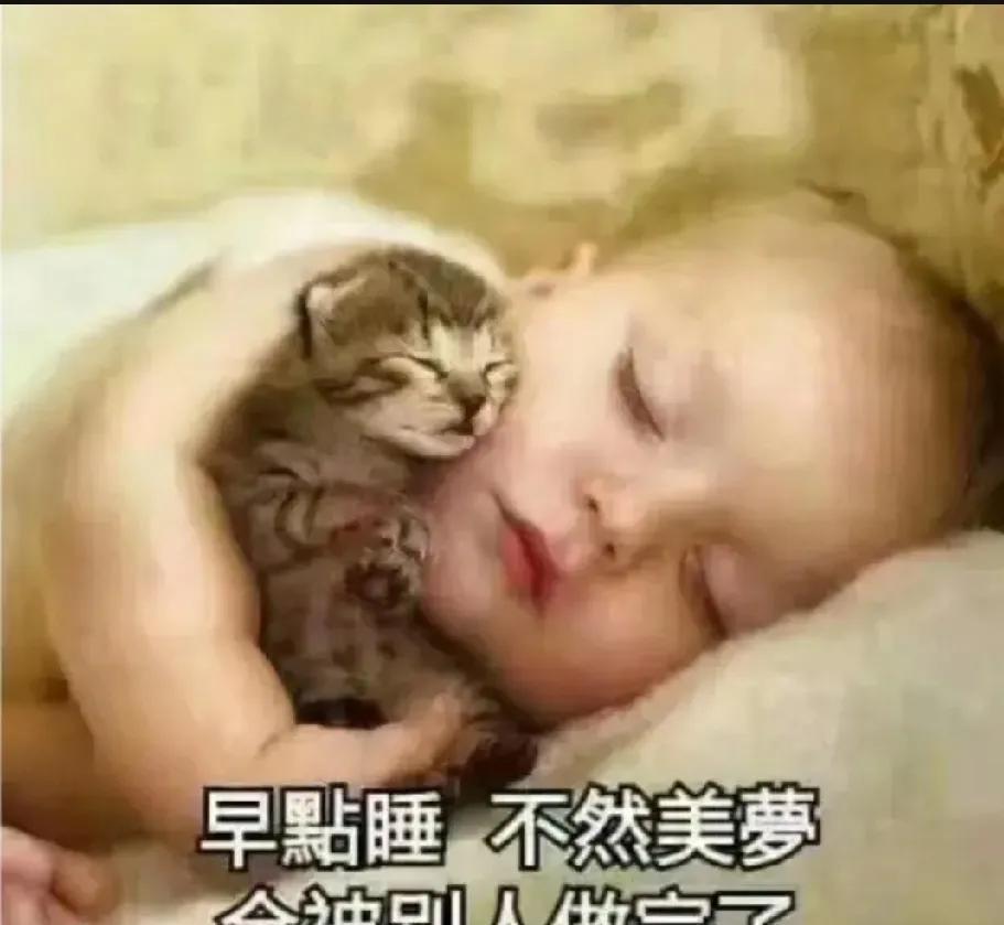 端午不调休，高速不免费。挺好的，端午不调休，能连着休息3天。下周只用工作4天就