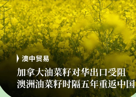 澳大利亚广播公司今天报道：“中国对加拿大油菜籽加征75.8%保证金，加拿大油菜籽
