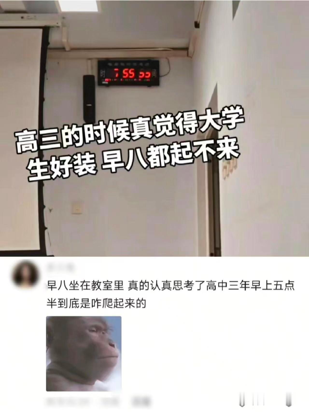 咋困成这样呢