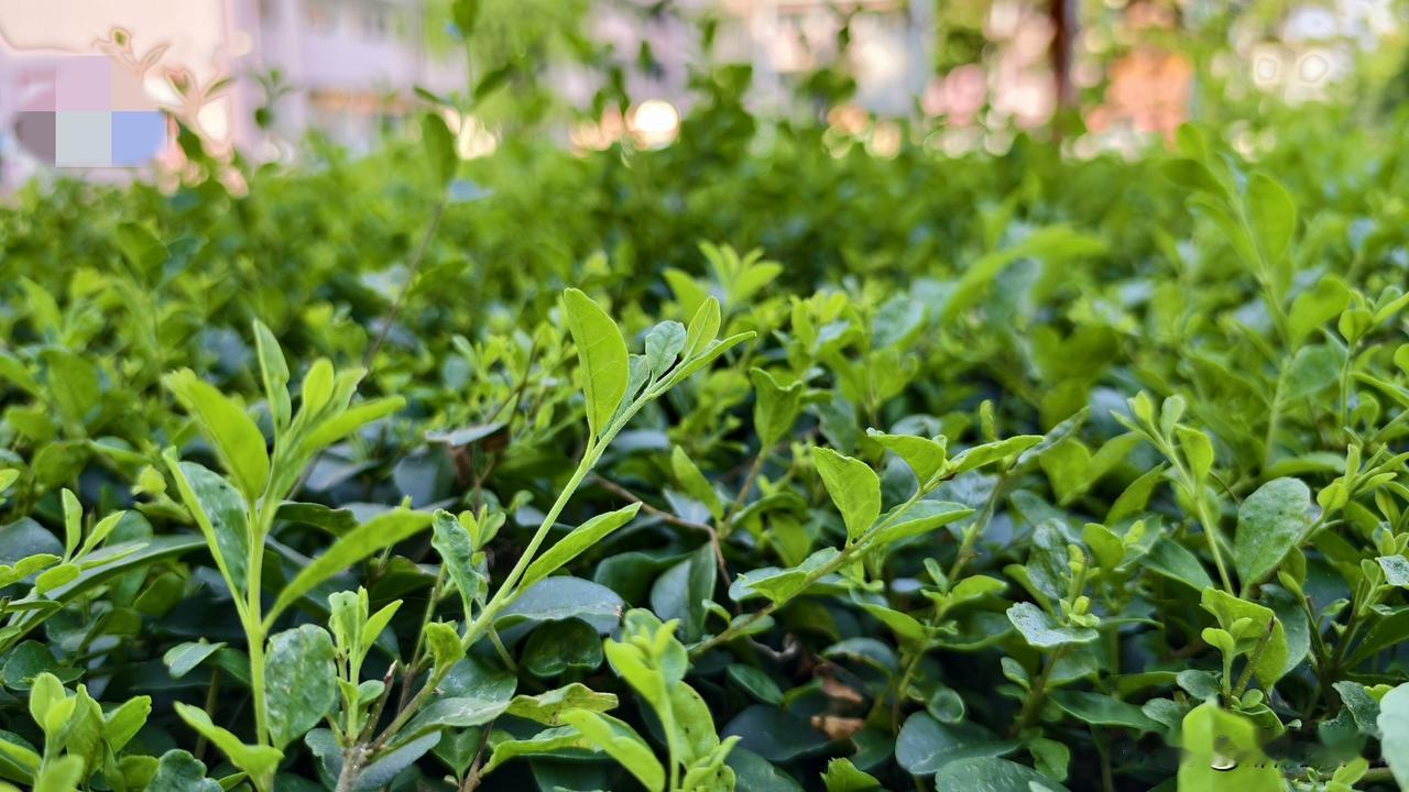 现在真是啥人都有，表妹今天气得直骂人。今天和表妹打电话问个事，她给我抱怨最近