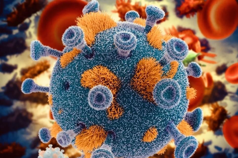【俄“加马利亚”研究中心研发抗艾滋疫苗】感染HIV（人类免疫缺陷病毒）