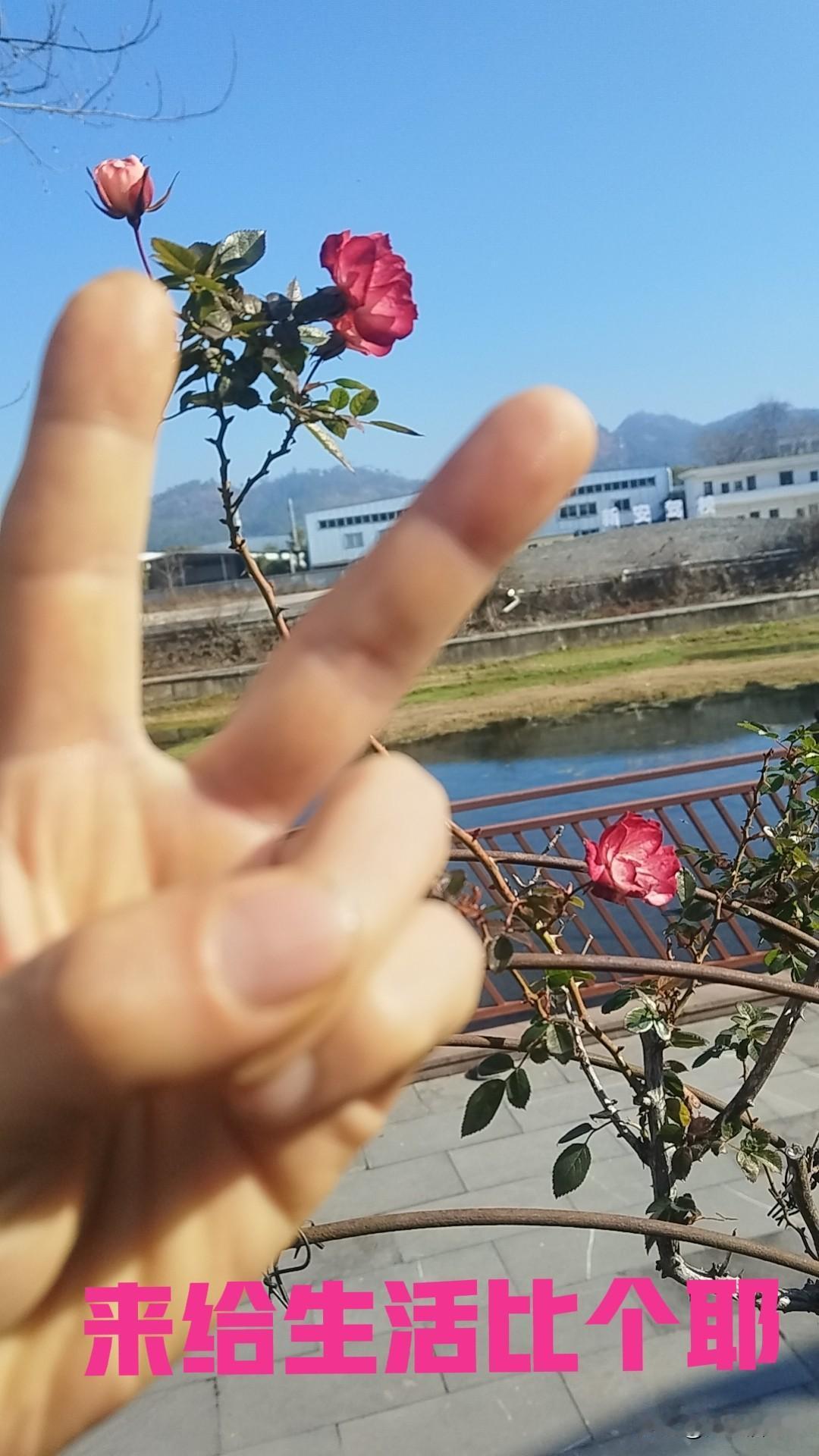 胃癌的我被称为“可怜人”[捂脸哭]…单位的米饭对于我这个因胃癌而胃部切除的人，凸