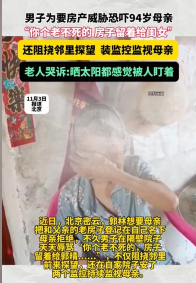 北京，94岁的大娘，有一套带院子的房子，隔壁就是儿子家，养儿防老，这本来是非常好