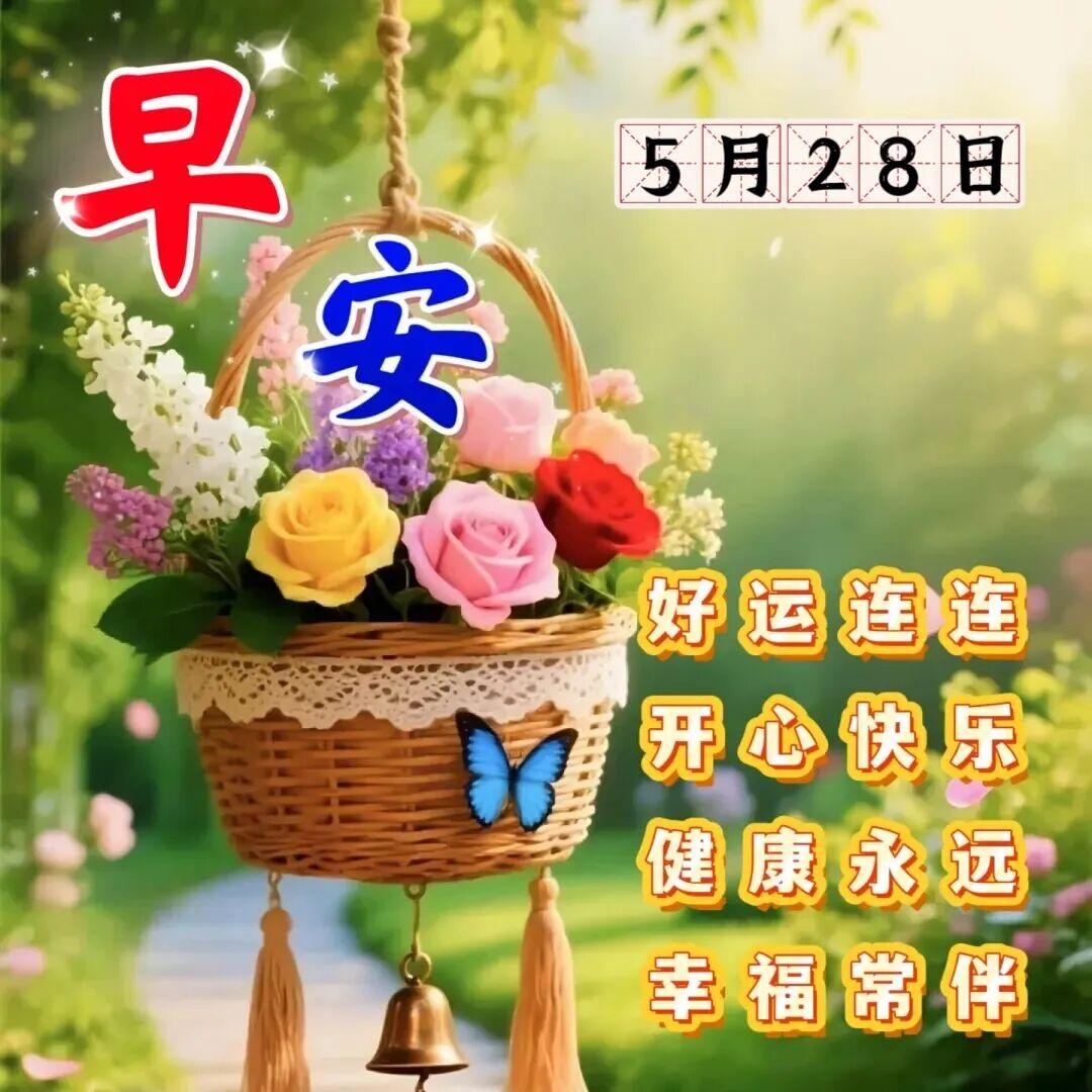 早晨的第一缕阳光照进你的窗台，也带来了我最真挚的问候。愿你的一天充满温馨与喜悦，