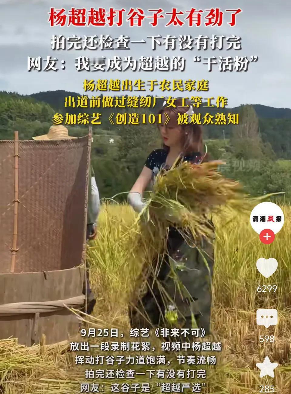 一看就是干过活的人！杨超越打谷子太有劲了，拍完还检查一下有没有打完，这姑娘，有活