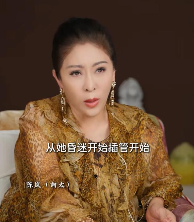 向太说：“施南生昏迷后开始插管，我当时就跟张叔平讲，这家医院的做法太不负责任了。
