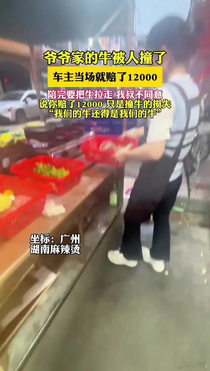 法律上对这种情况是怎么判决处理的？爷爷家的牛被人撞了，车主当场就赔了12000。