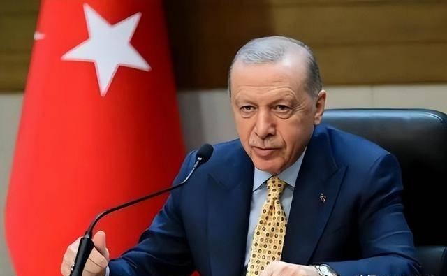 土耳其总统埃尔多安这次没留一点情面。他说，以色列公开放话要把约旦河西岸变成下