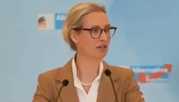 1月26日，德国选择党领袖爱丽丝·魏德尔称，“我可以明确告诉大家，待我们执掌政权