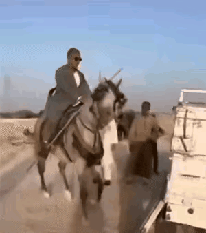 骑着马上车，本身就不是一件妥当的事情，车厢这么高，马背上再骑着一个人，多了没有，