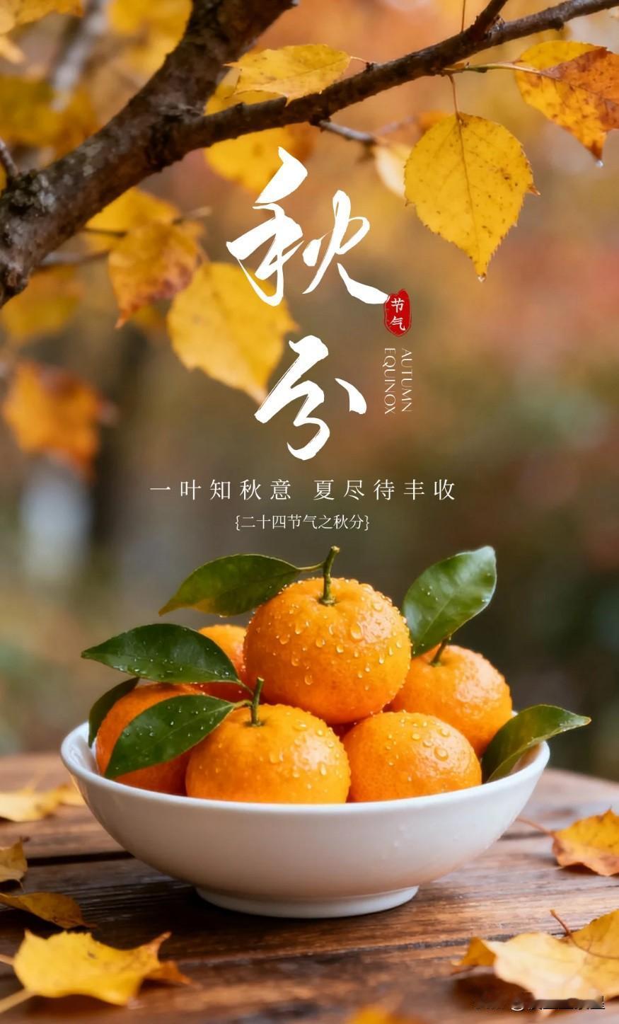 秋分节气昼夜等长，秋色平分日间有余夏，日落有凉秋，燕将明日去，秋向此时分。