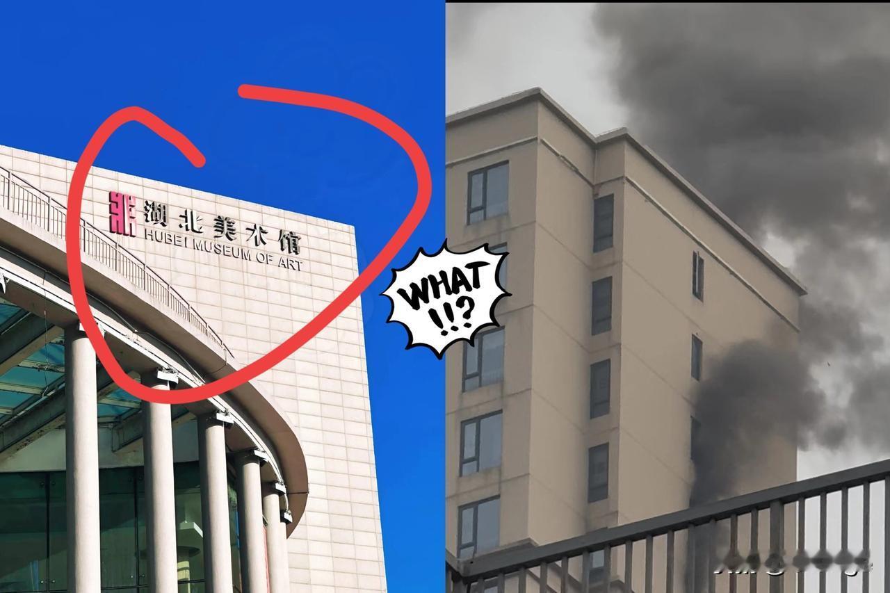 湖北美术馆这把的火，真是把网友看呆了！满馆价值不菲的画作雕塑毫发无损，连点