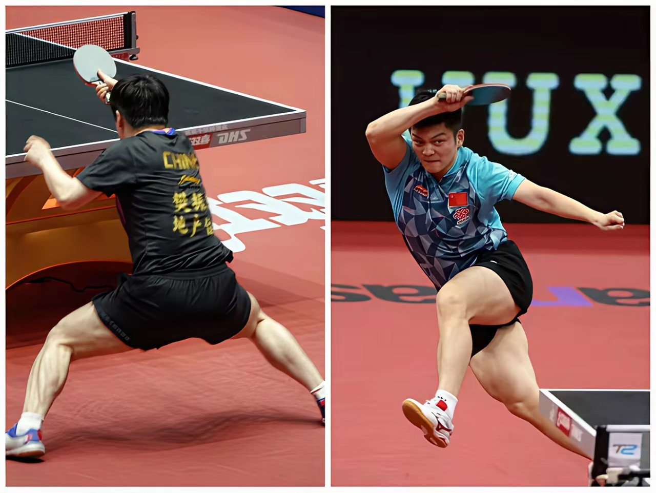 有个事，我不敢说，我怕说出来后，对樊振东不利，那就樊振东的腿部力量真的太吓人了。