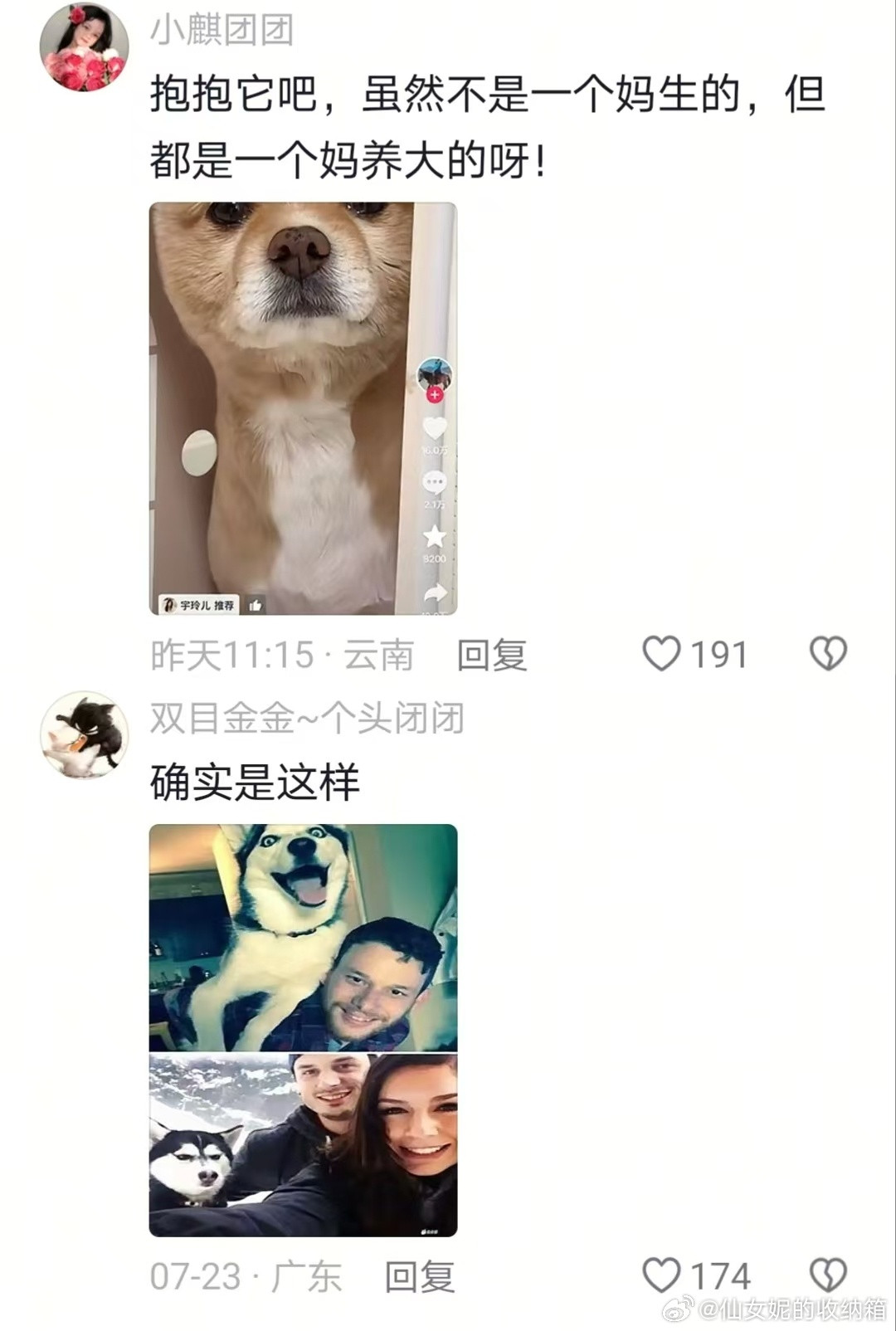 果然平衡二胎问题不分物种啊