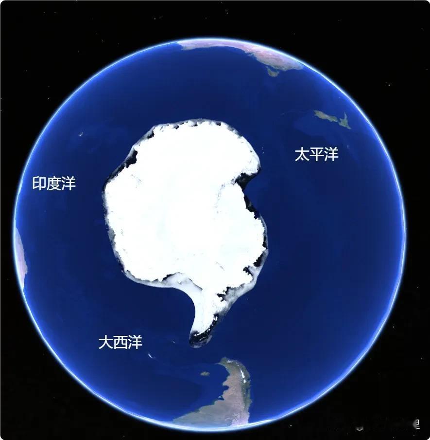 蓝鲸，可以说是进化论的一个BUG。它不是简单的大，是物理意义上的不合理。33米