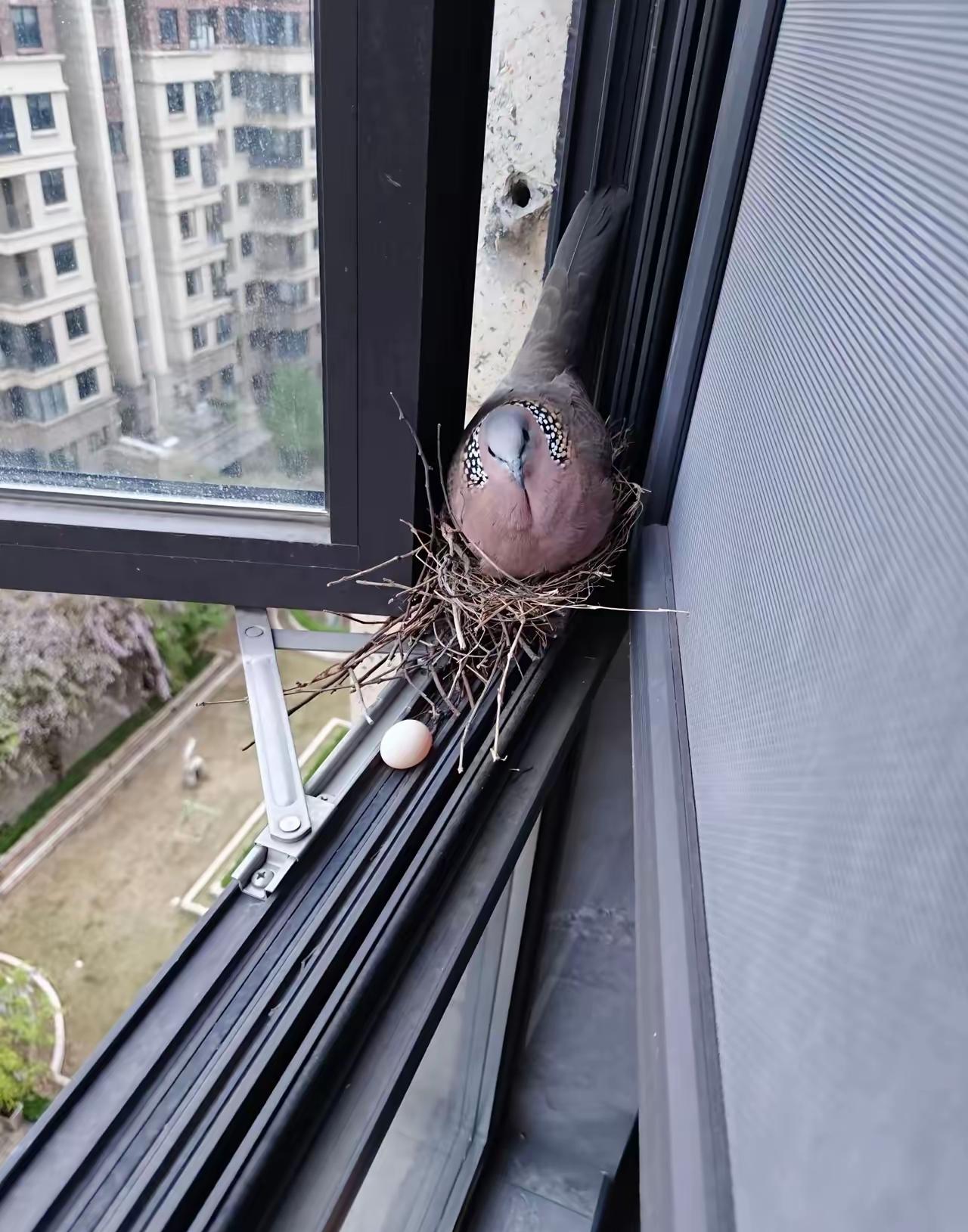 所以它是在做无用功吗[捂脸哭]