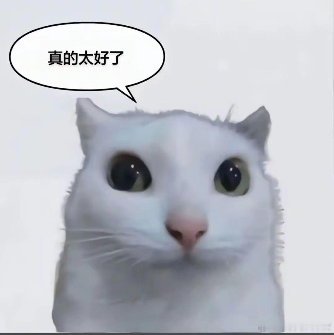 对我所有的朋友们：