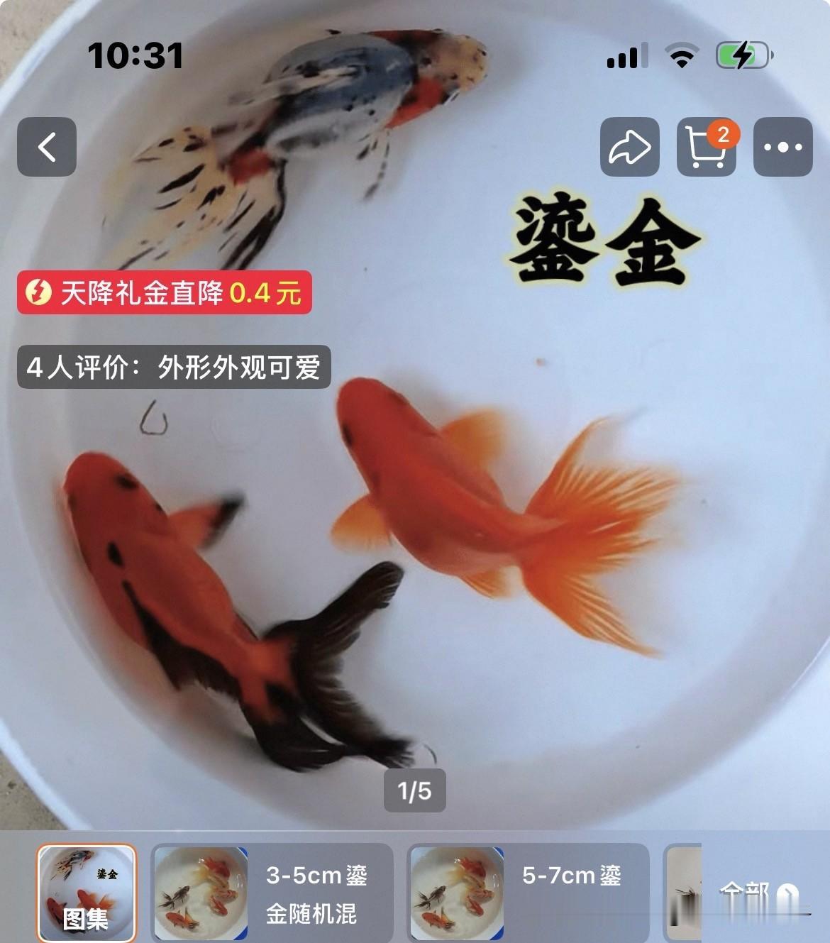 纠结了好久，终于决定养个小宠物🐠网上下单了两条小金鱼，明天就要到家啦。