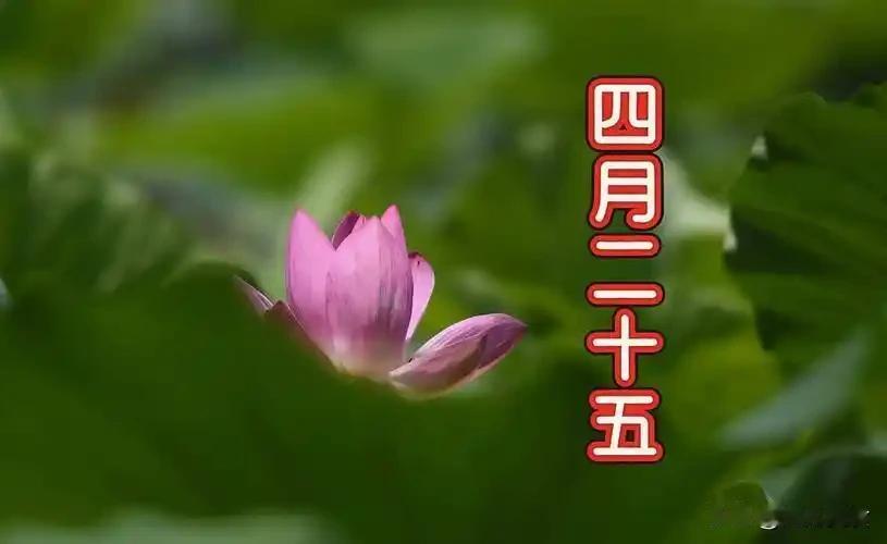 不是迷信！明日四月二十五，记得：1不留，2不回，3不吃，别大意农历四月二十五正
