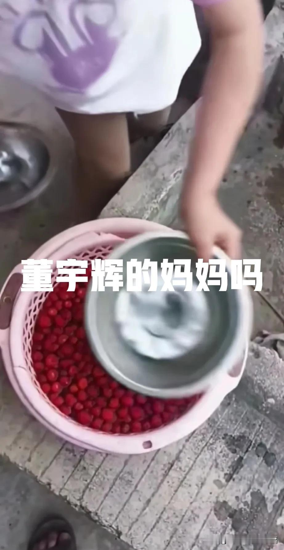东方甄选时董宇辉曾经最大的愿望就是拥有自由[比心]可如今看似自由，实际上没有
