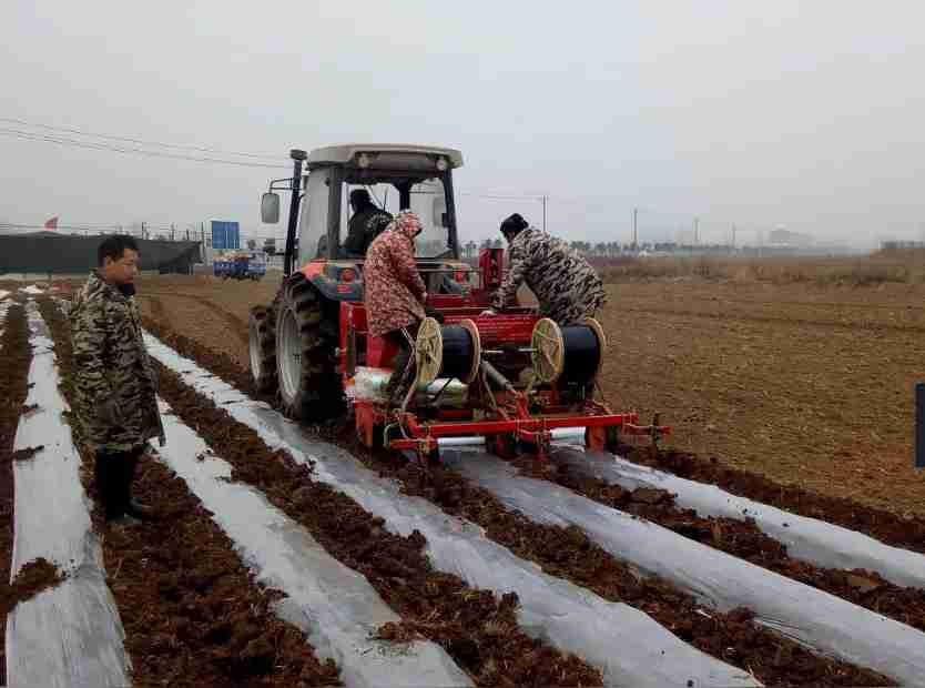 我的今日状态：💪🏻充满干劲我这里的天气：🌤️多云，农户正在播种土豆，因为
