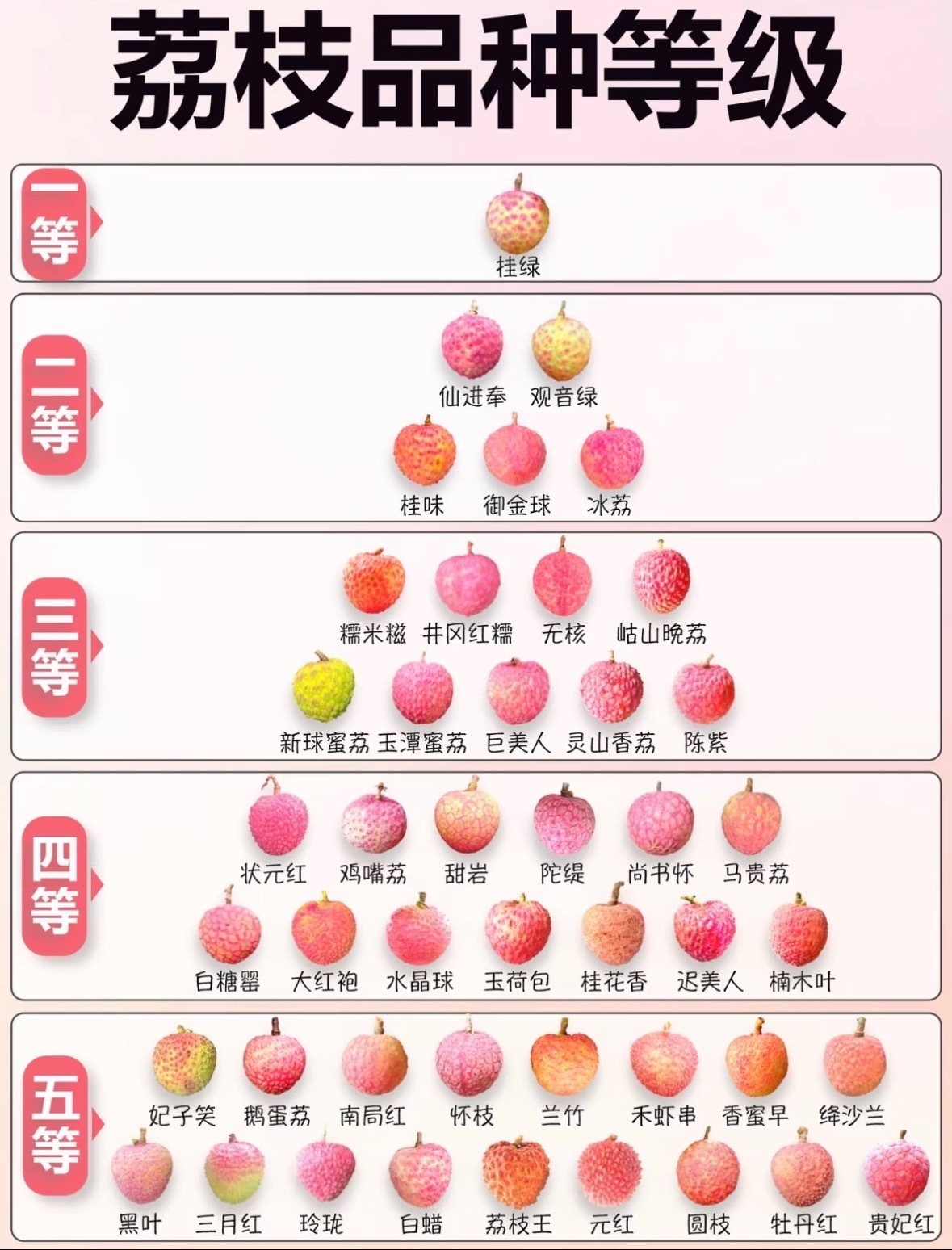 （这是一条原创）荔枝居然有辣么多没吃过