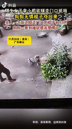 活不起了？广东佛山，一老太路过店门口时，看到一旁放着空箱子，但害怕被狗咬，就拿木