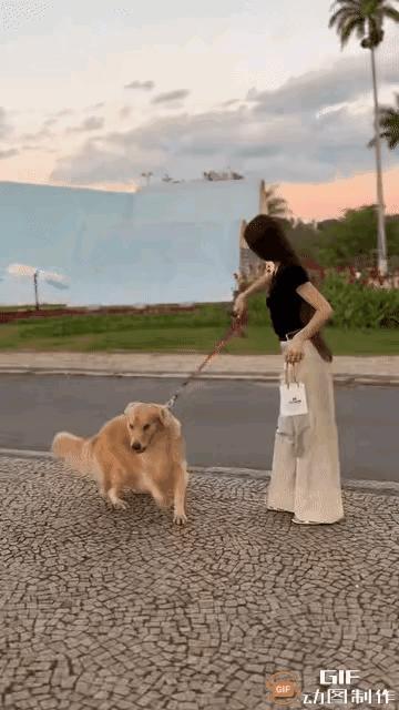 黑衣女溜狗，狗拉了一大坨屎，黑衣女是文明之人，赶紧收拾狗屎，将其放纸袋中。没有