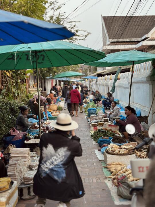 🇱🇦在老挝，一定要起个大早去赶个早市