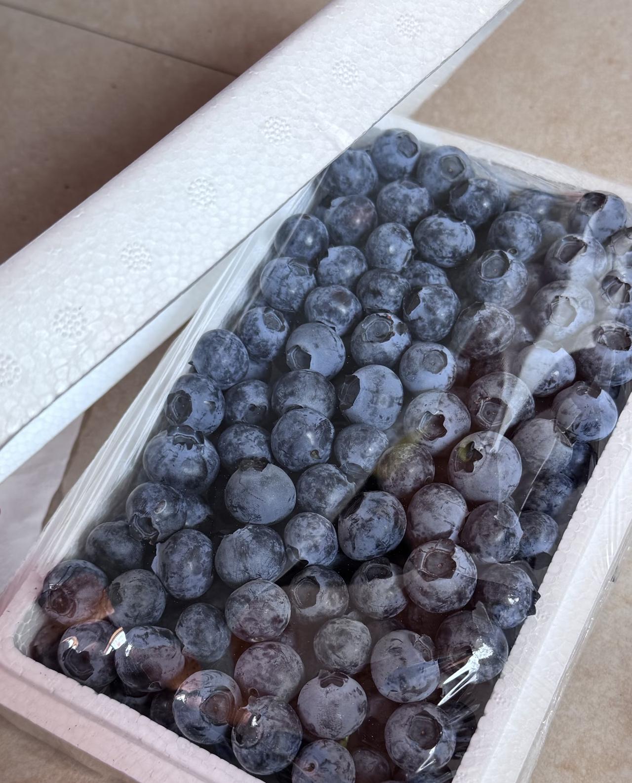 今年蓝莓有点自由过头了。朋友从云南寄来一大箱，我想着"护眼抗炎"，每天炫一大碗