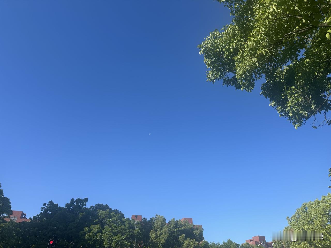女孩子在结婚这个问题上，千万千万不要听所谓闺蜜的，现在的闺蜜大多见不得你好。