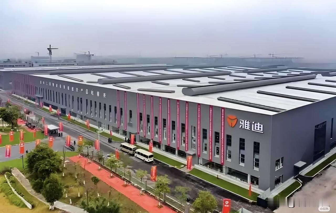 佛冈这地方，很多人可能听都没听过吧？但就是这么一个不起眼的小县城，藏着一个雅迪超