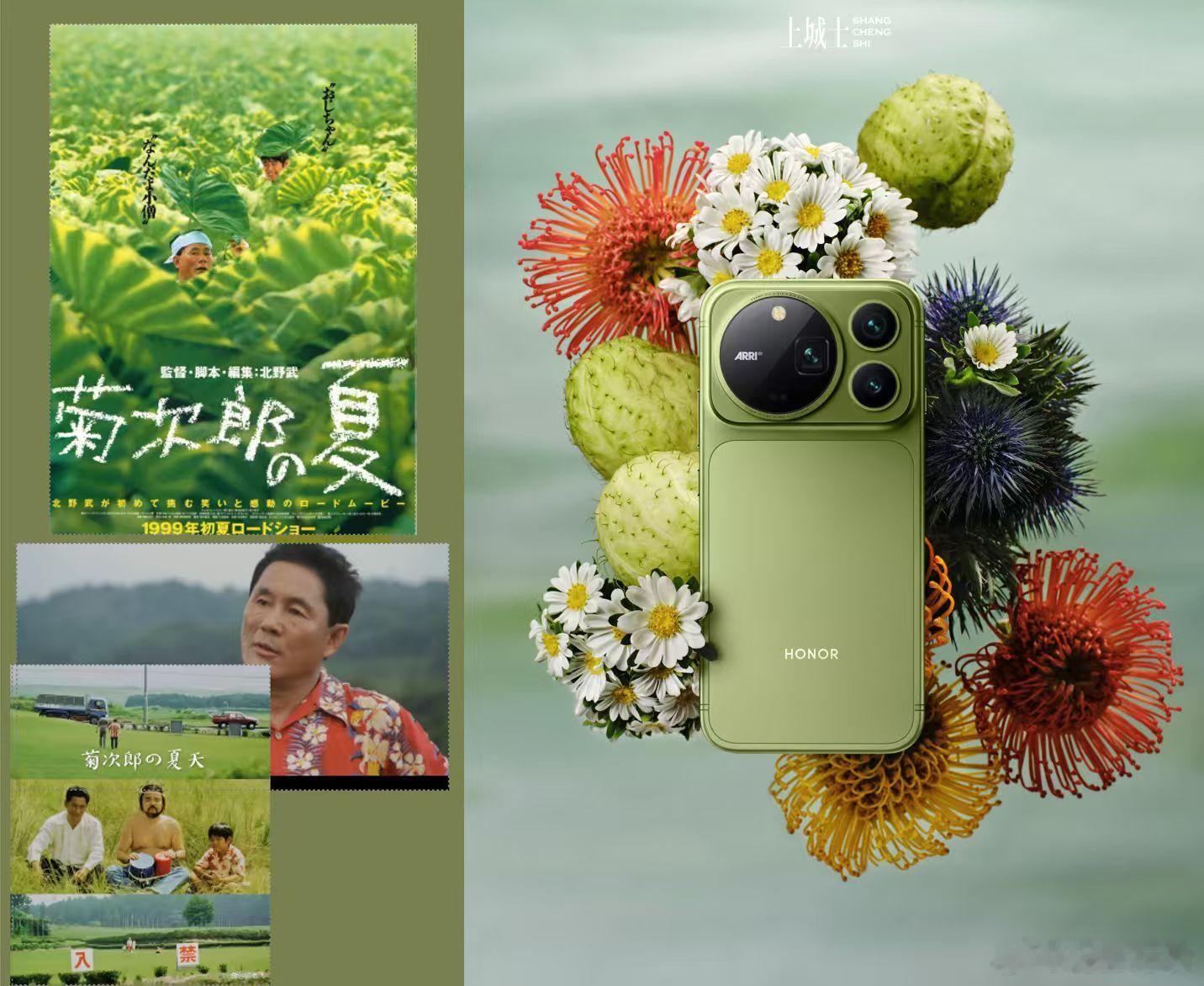 荣耀Magic9系列定档9月28日谁的DNA动了？《秘密花园》里那扇爬满藤蔓的