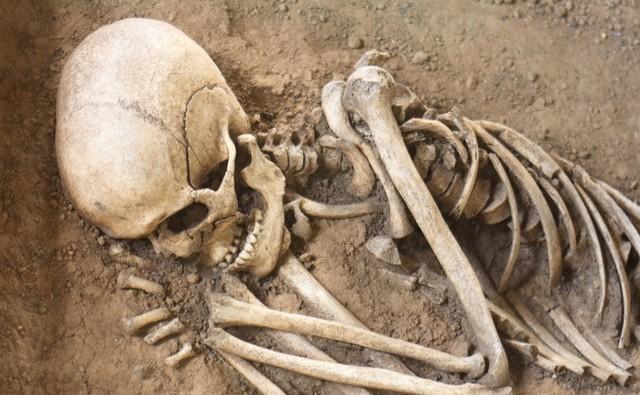 土葬历经三十年，遗骨还在吗？看情况而定“快看，这棺木都碳化了！”迁坟现场，有