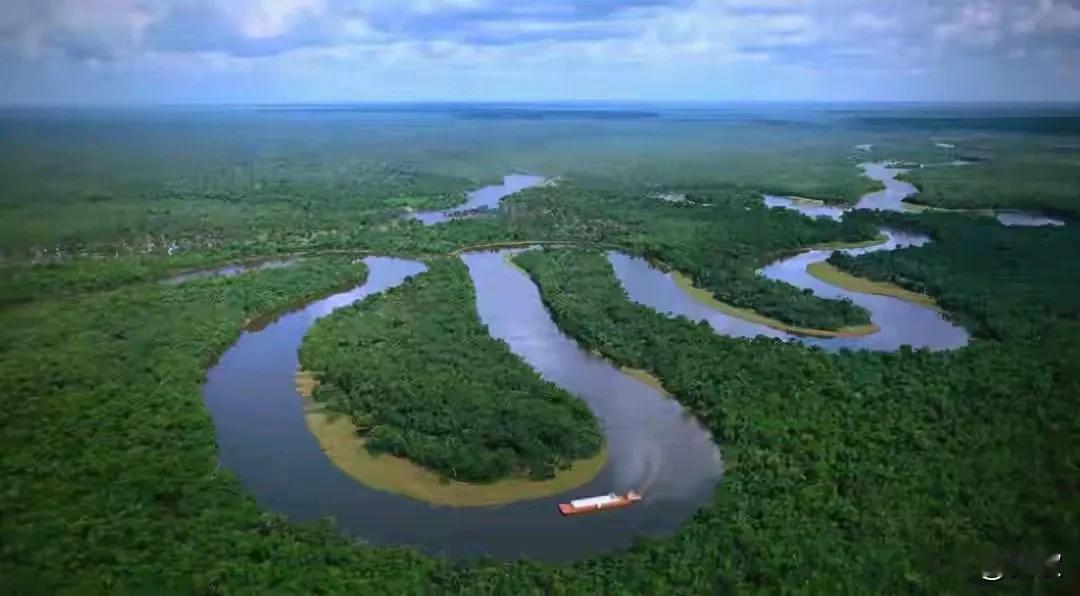 巴西向中国要钱.十亿想换一千两百五十亿最近，气候大会（COP30）在巴西热闹