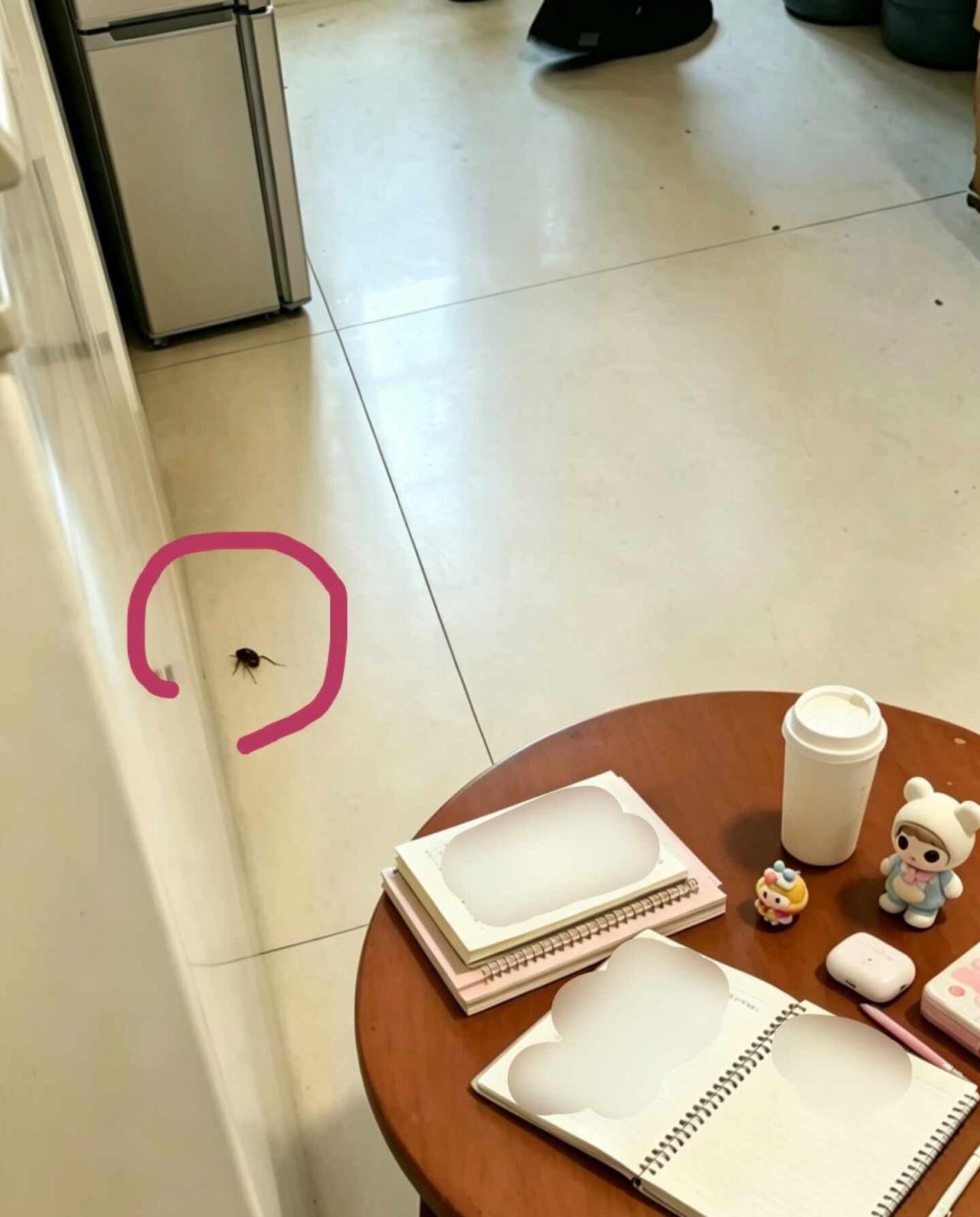 上一任租客留下来的最近接到广州一位租客小姐姐求助，刚入住没多久家里就出现蟑螂了